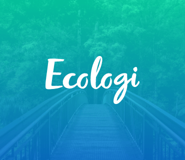 Purple Orbit and Ecologi